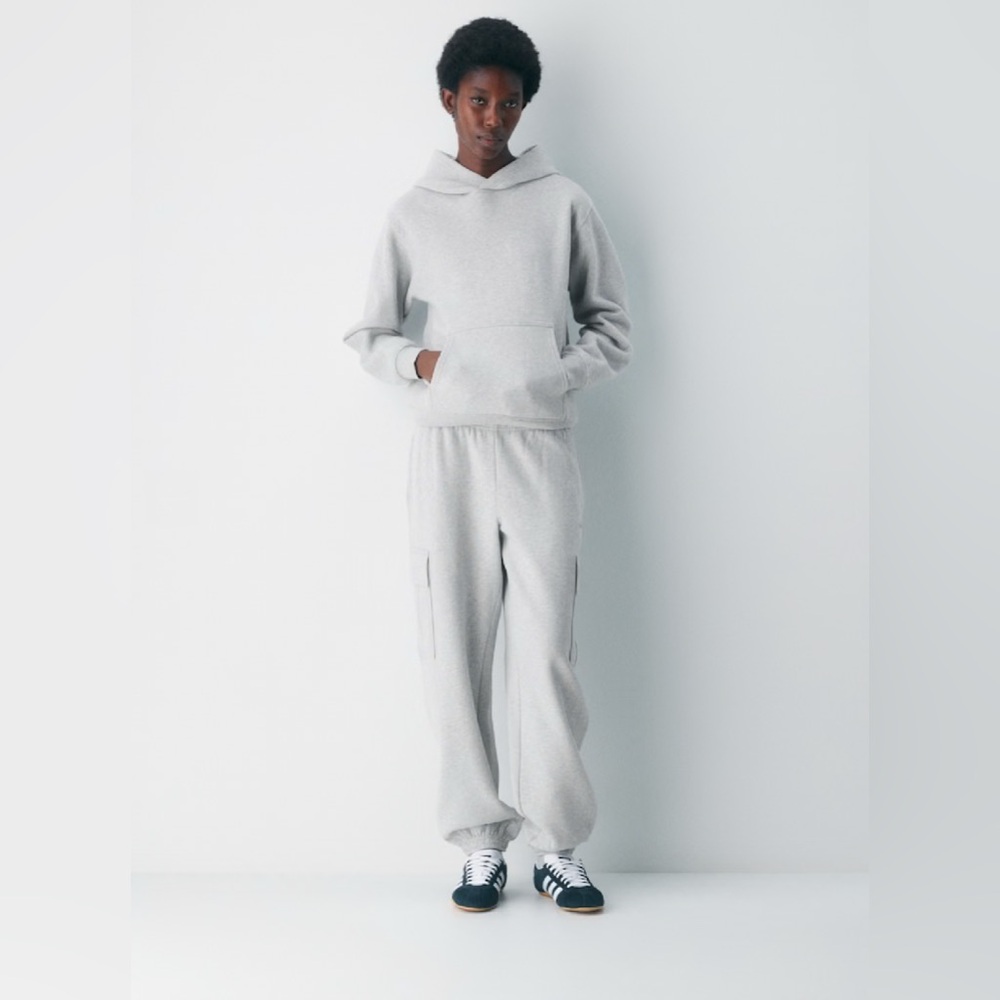 Aritzia Light Gray Hoodie